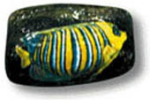 Pietra dipinta - 1996