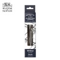 Fusaggine Winsor&Newton 12 stick carboncini assortiti