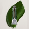 Colori ad Olio Rembrandt Talens - Cinabro Verde Scuro (627) tubo da 40 ml