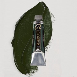 Colori ad Olio Rembrandt Talens - Terra Verde (629) tubo da 40 ml