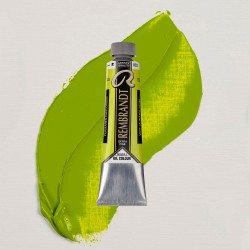 Colori ad Olio Rembrandt Talens - Verde Giallastro Perm. (633) tubo da 40 ml
