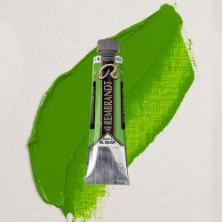 Colori ad Olio Rembrandt Talens - Verde Permanente Chiaro (618) tubo da 40 ml