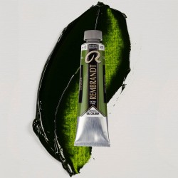 Colori ad Olio Rembrandt Talens - Verde Vescica (623) tubo da 40 ml