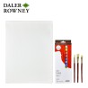 Set per pittura a olio Oil Starter Set Daler Rowney. 12 colori da 12 ml, 3 pennelli e 1 tela