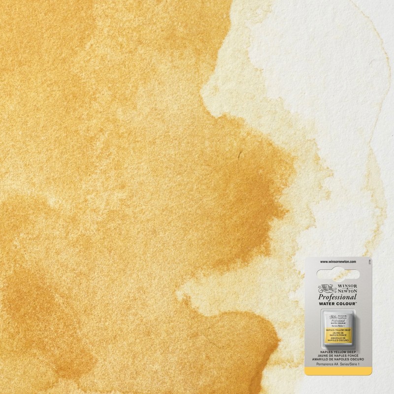 Bellearti-it-Colori-per-Acquerello-Winsor-Newton-AWC-1-2-Godet-Giallo-di-Napoli-Scuro Bellearti-it-Colori-per-Acquerello-Winsor-Newton-AWC-1-2-Godet-Giallo-di-Napoli-Scuro