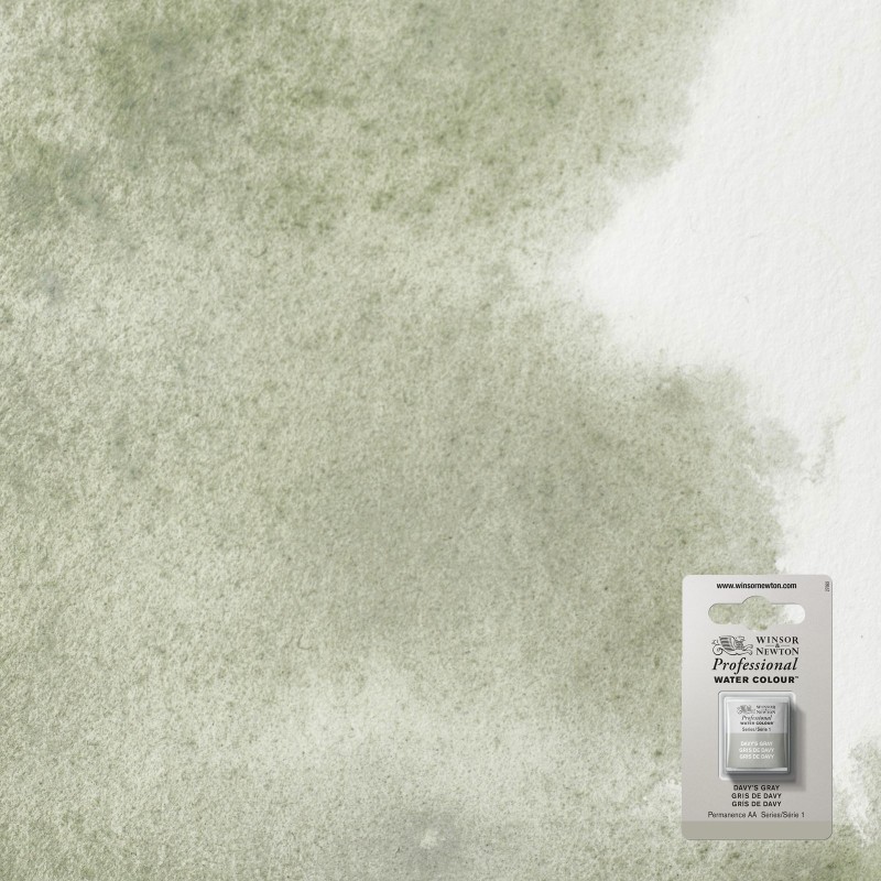 Bellearti-it-Colori-per-Acquerello-Winsor-Newton-AWC-1-2-Godet-Grigio-di-Davy Bellearti-it-Colori-per-Acquerello-Winsor-Newton-AWC-1-2-Godet-Grigio-di-Davy