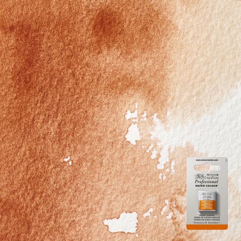 Bellearti-it-Colori-per-Acquerello-Winsor-Newton-AWC-1-2-Godet-Terra-di-Siena-Bruciata Bellearti-it-Colori-per-Acquerello-Winsor-Newton-AWC-1-2-Godet-Terra-di-Siena-Bruciata