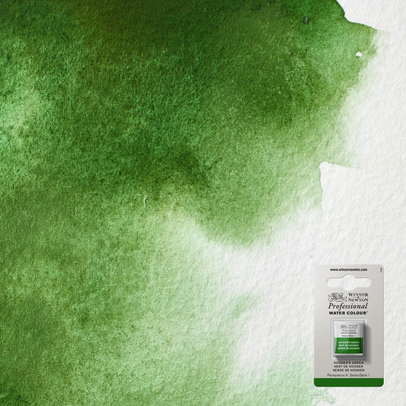 Bellearti-it-Colori-per-Acquerello-Winsor-Newton-AWC-1-2-Godet-Verde-di-Hooker Bellearti-it-Colori-per-Acquerello-Winsor-Newton-AWC-1-2-Godet-Verde-di-Hooker