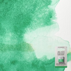 Bellearti-it-Colori-per-Acquerello-Winsor-Newton-AWC-1-2-Godet-Verde-Winsor-Giallastro