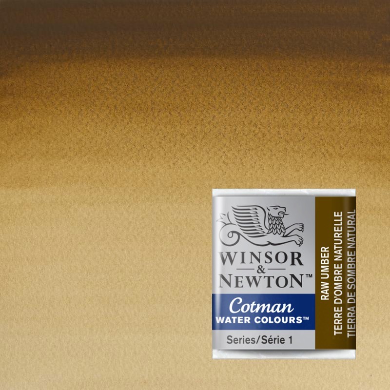 Acquerelli Cotman Winsor&Newton 1/2 godet Terra d'Ombra Naturale (554)