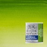 Acquerelli Cotman Winsor&Newton 1/2 godet Verde Vescica (599)