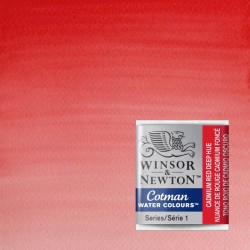 Acquerelli Cotman Winsor&Newton 1/2 godet Rosso di Cadmio Scuro imit. (098)