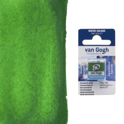 Acquerelli Van Gogh Talens 1/2 godet - Verde permanente (662)