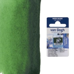 Acquerelli Van Gogh Talens 1/2 godet - Verde di Hooker scuro (645)