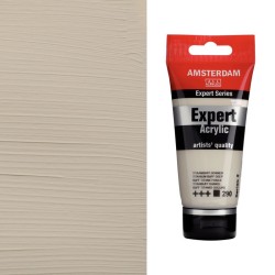 Colori Acrilici Amsterdam Expert Talens - Titanio crudo scuro (290) tubo da 75 ml