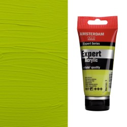 Colori Acrilici Amsterdam Expert Talens - Verde giallastro (617) tubo da 75 ml