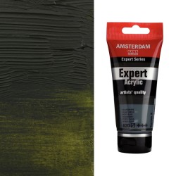 Colori Acrilici Amsterdam Expert Talens - Verde oliva (620) tubo da 75 ml