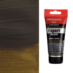 Colori Acrilici Amsterdam Expert Talens - Terra d'ombra naturale (408) tubo da 75 ml