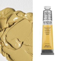 Colori ad Olio Winsor&Newton "Winton" Giallo di Napoli imit. (422) tubo da 200 ml