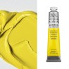 Colori ad Olio Winsor&Newton "Winton" Giallo di Cadmio Limone imit. (087) tubo da 200 ml