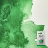 Acquerelli P.W.C. Winsor&Newton 1/2 godet Verde Cinabro (420)