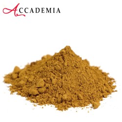 Accademia - Pigmento Terra di Siena naturale (161) in busta da 250 gr.