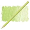 Conté à Paris - Matite pastello colorate - Verde lime (050)
