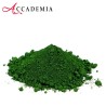 Accademia - Pigmento Verde Vescica (358) in busta da 250 gr.
