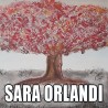 SARA ORLANDI